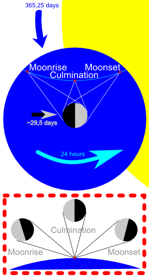 Mond-Rotation von Mondaufgang bis Monduntergang als optische Täuschung